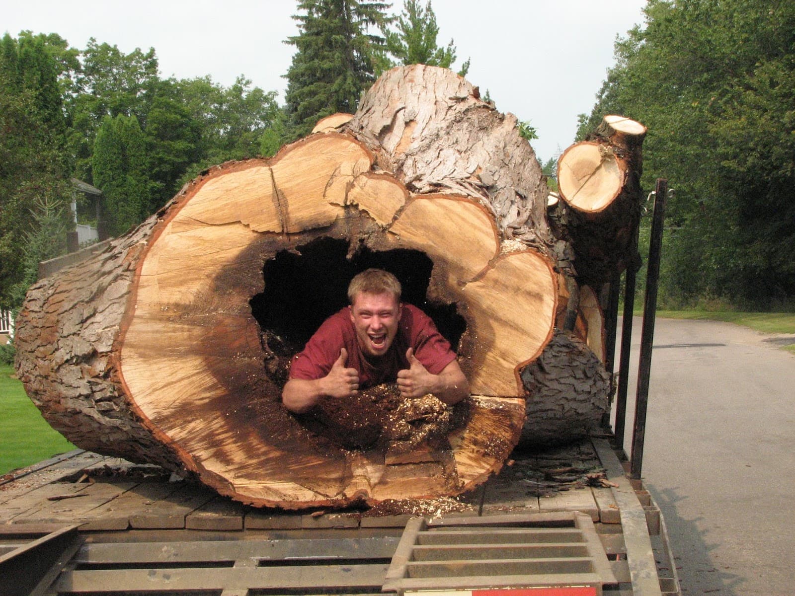 Tall Timber Tree Experts LLC