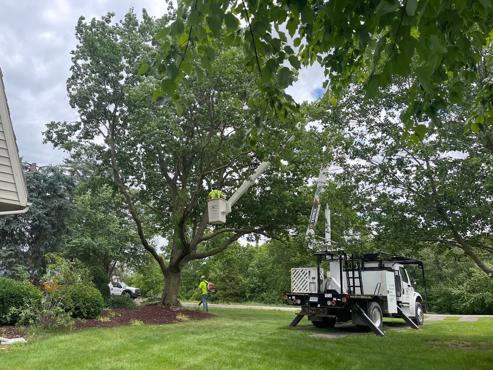 J's Tree Trimming & Removal, Inc.