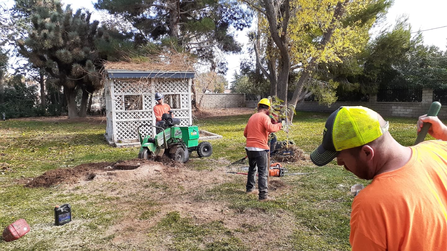 Chad’s Chippers Tree Service