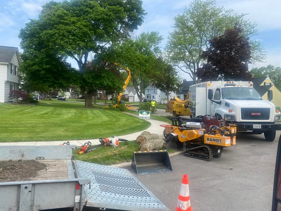 Buffalo Tree Service