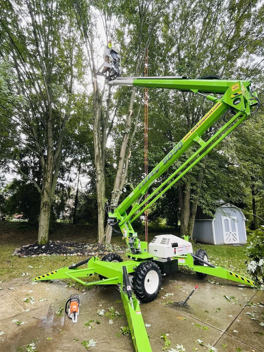 Lavish Landscape Tree Removal LLC