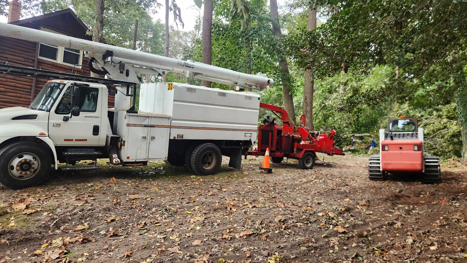 zepeda trees service llc