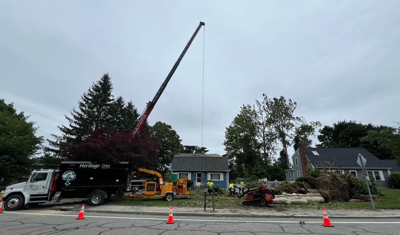 Heritage Tree & Arborist Services Northeast LLC