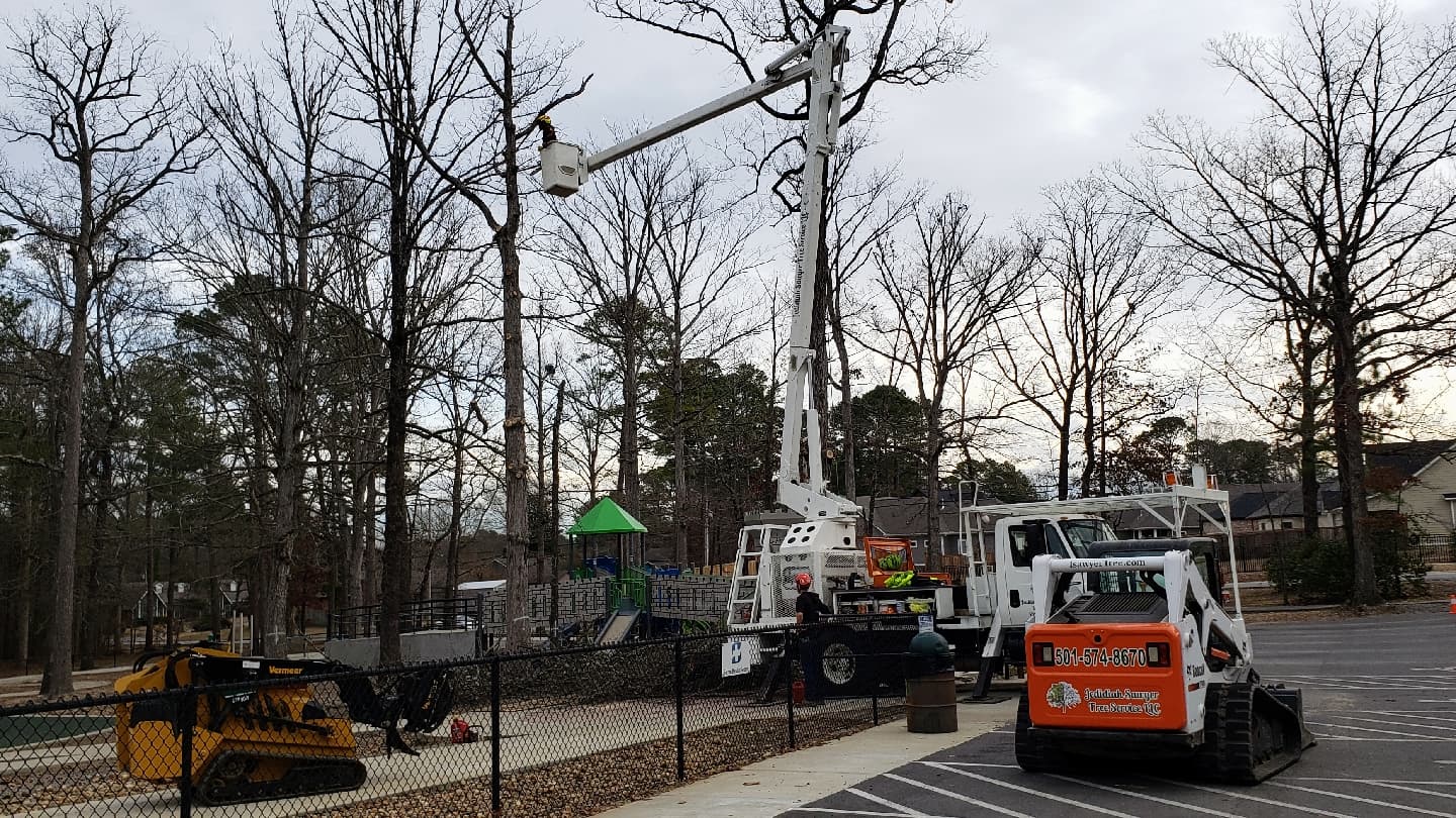 Jedidiah Sawyer Tree Service