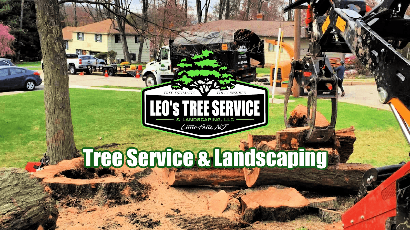 Leo’s Tree Service