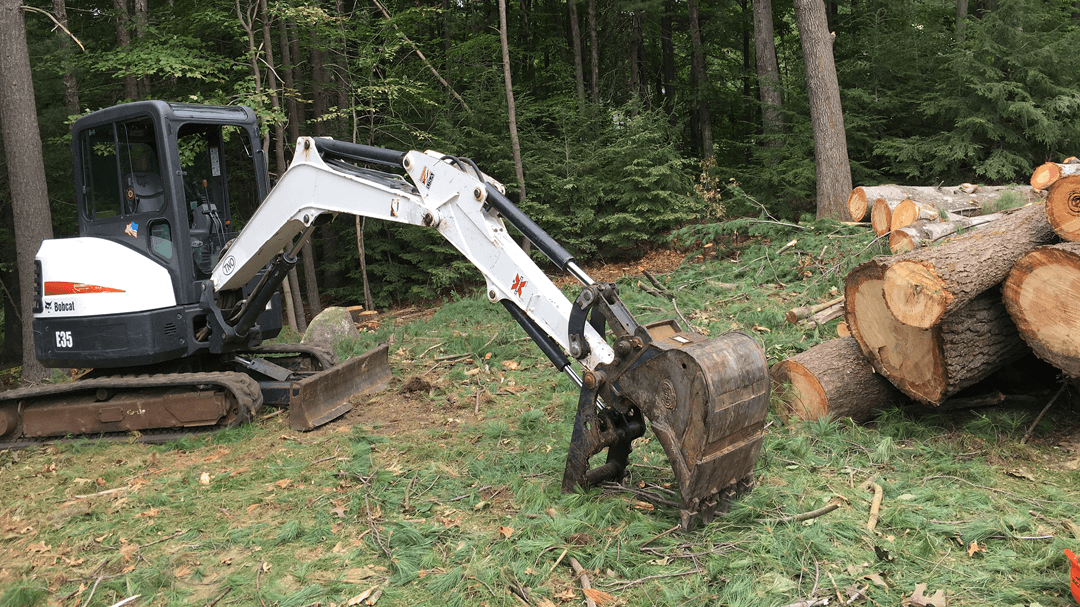 Branch Manager Tree Service