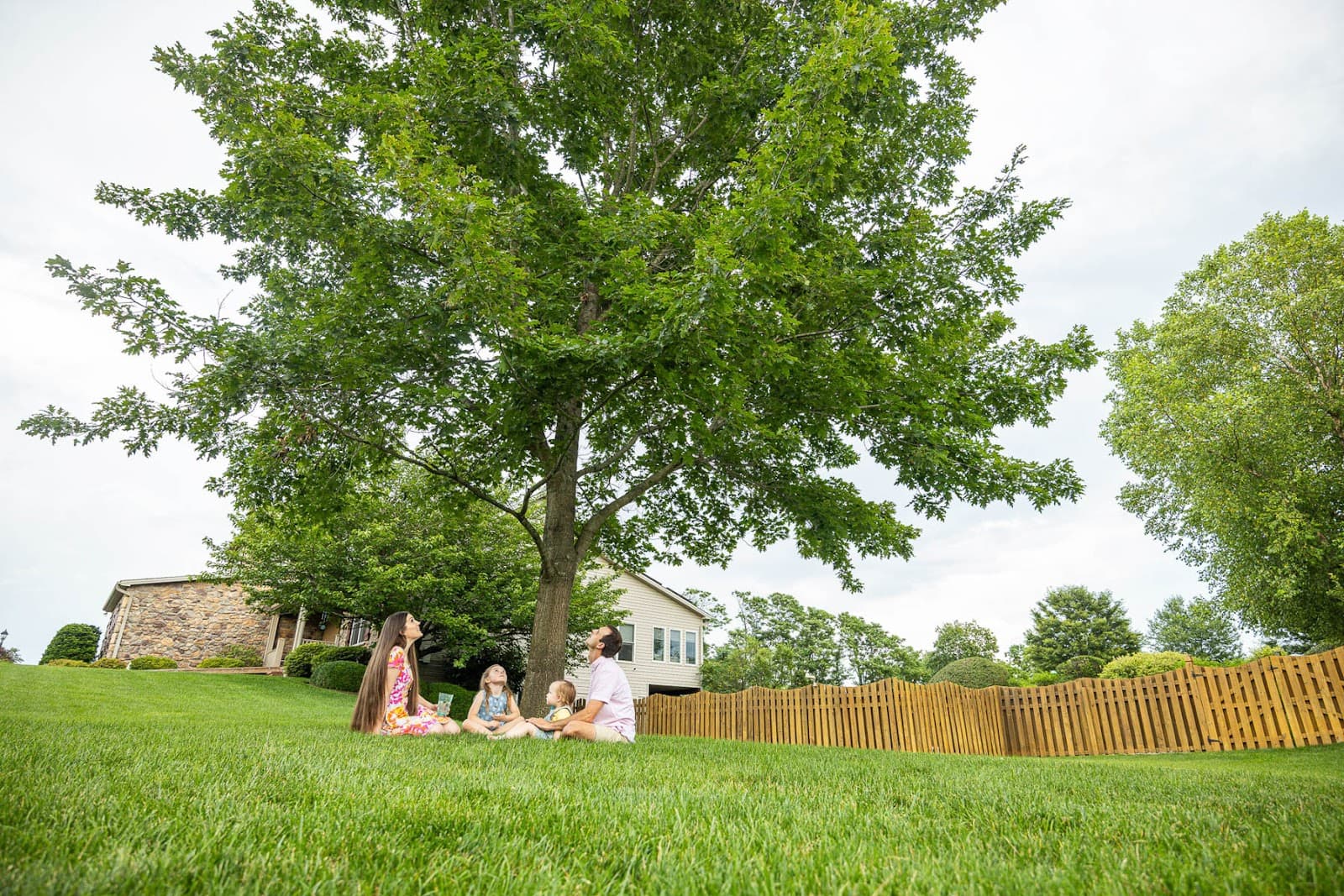 Good's Tree and Lawn Care