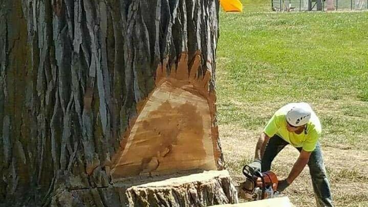 American Tree Care LLC