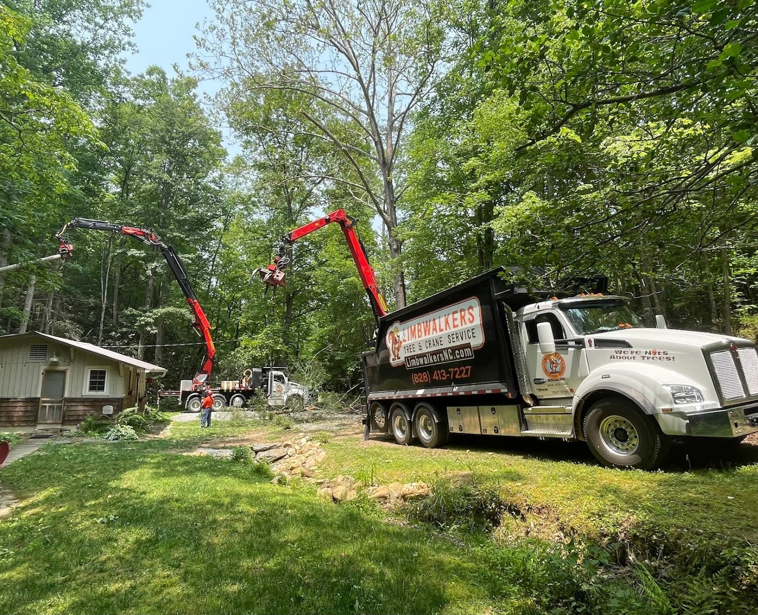 Limbwalkers Tree & Crane Service