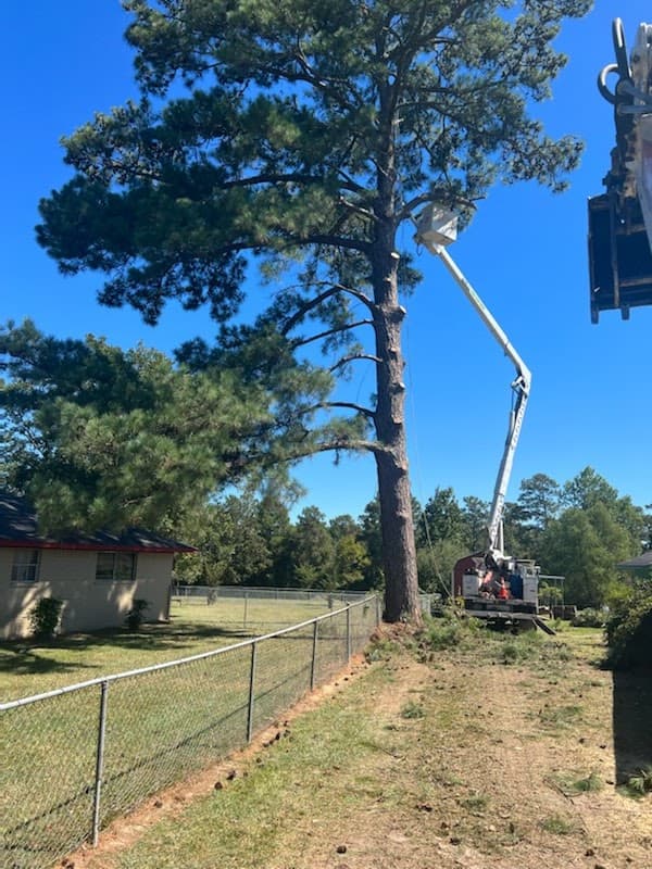 Elite Tree Texas, LLC