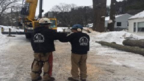 Jackson's Tree Service