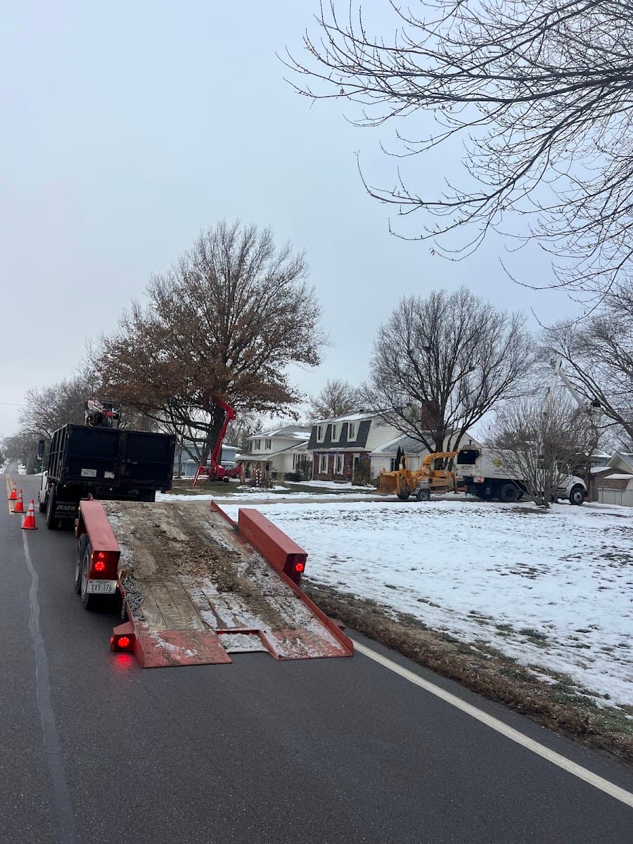 Tree Services of Omaha