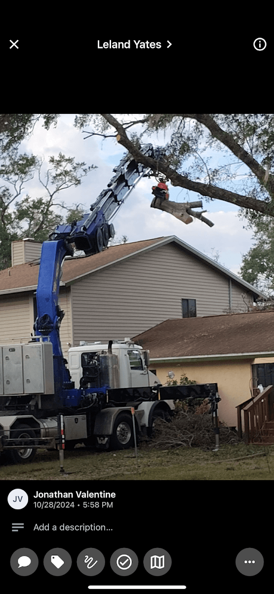 Safe Choice Tree Service