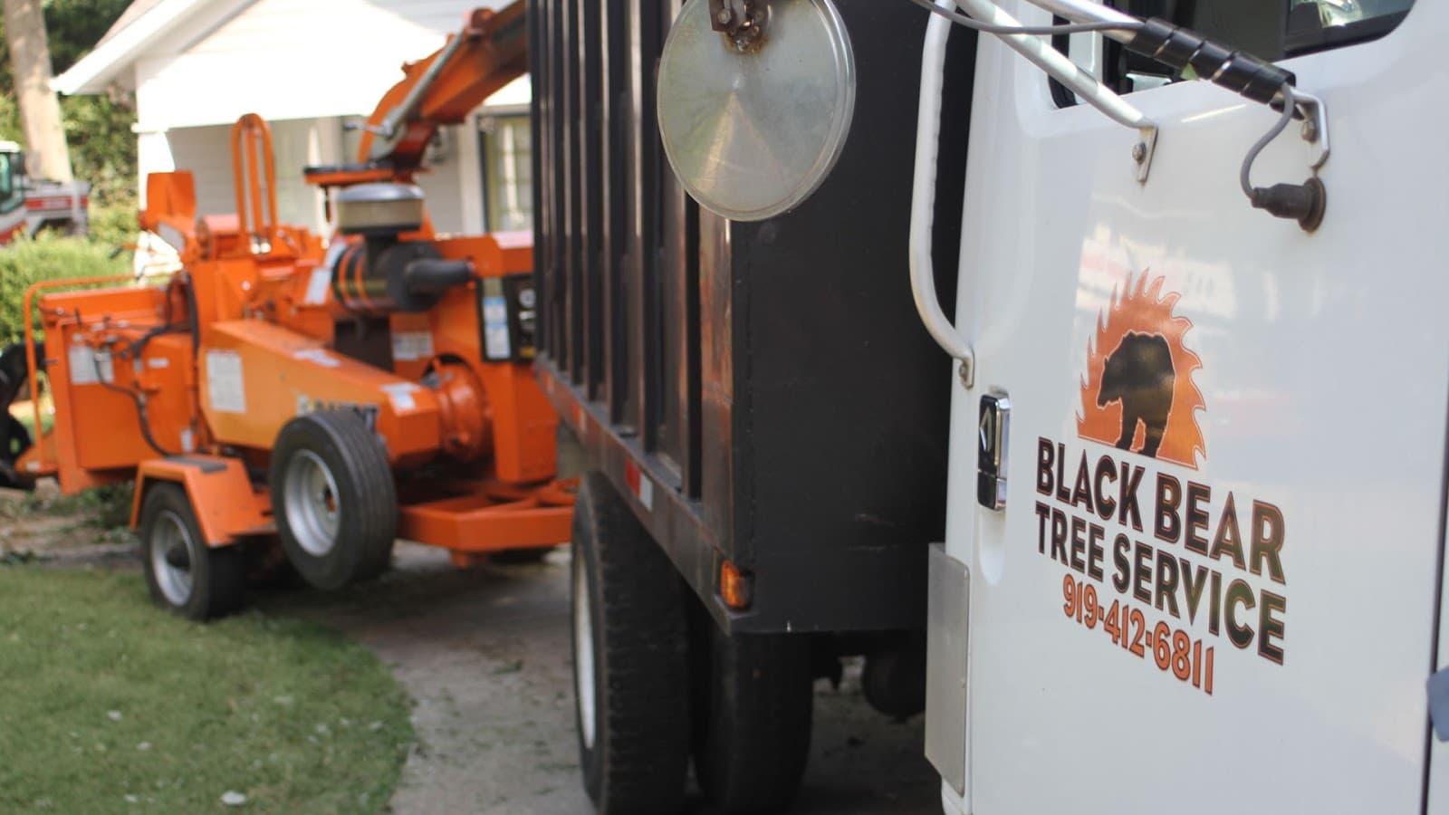 Black Bear Tree Service
