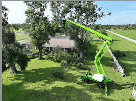 Canopy Crafters - Tree Care Experts