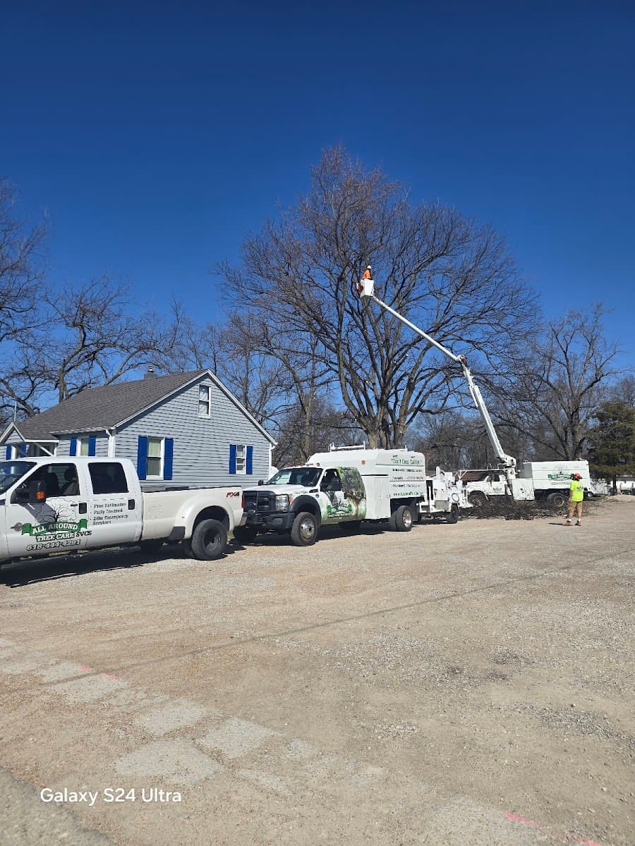 All Around Tree Care Services LLC