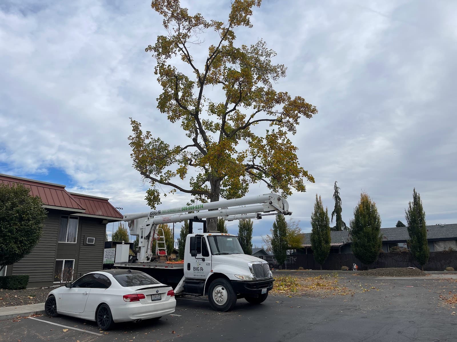 Big R Tree Service LLC