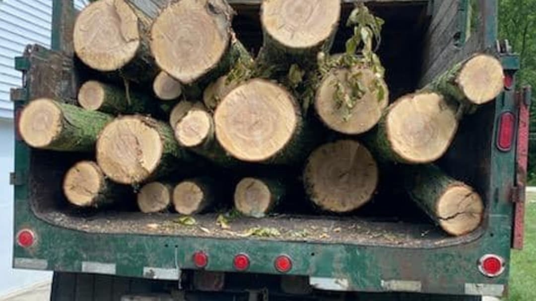 Tree Service Now, Inc.