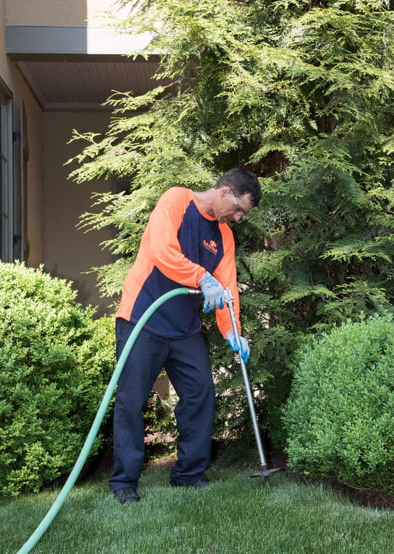 SavATree - Tree Service and Lawn Care