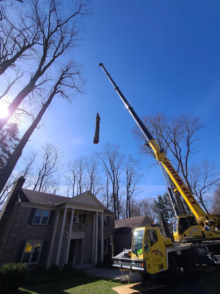 Team Nelson Services LLC