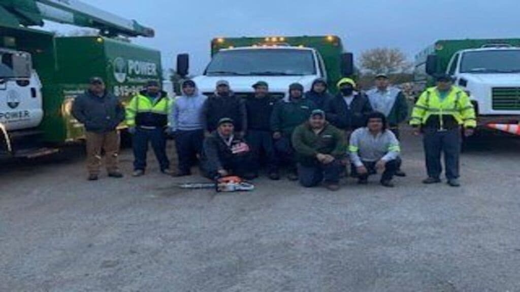 Power Tree Removal Services & Landscaping Inc