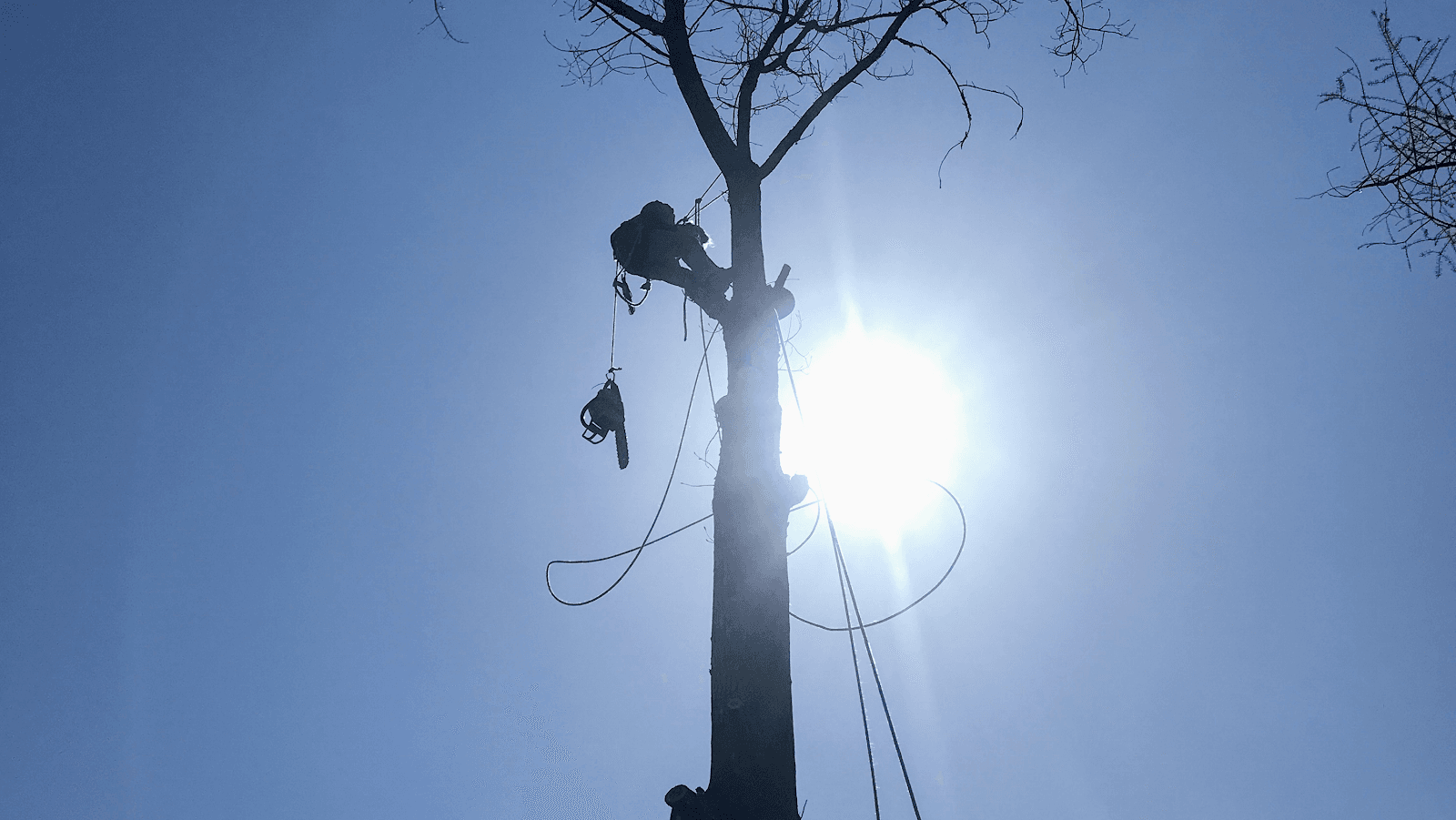 J Woods Tree Service LLC