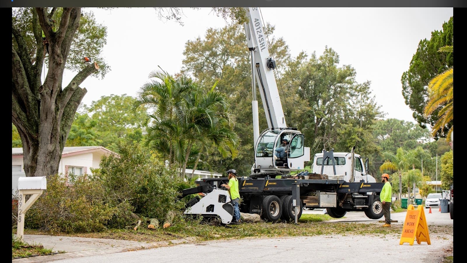 Element Tree Care LLC.