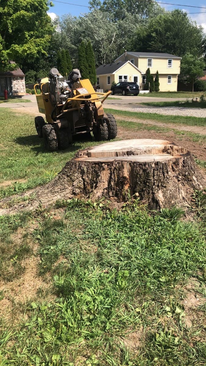 Red Oak Stump Grinding