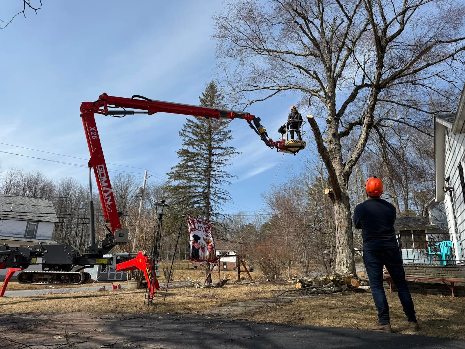 Mike's Outdoor Maintenance & Tree Removal