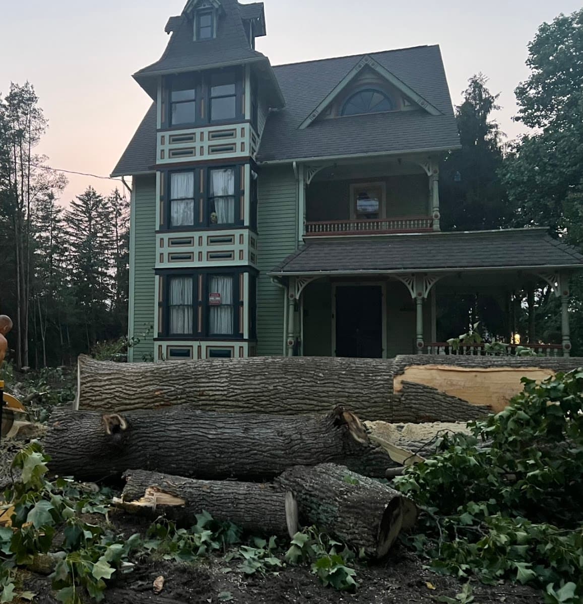 Lumberjack Tree Pros