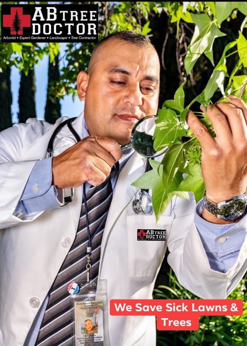AB Tree Doctor