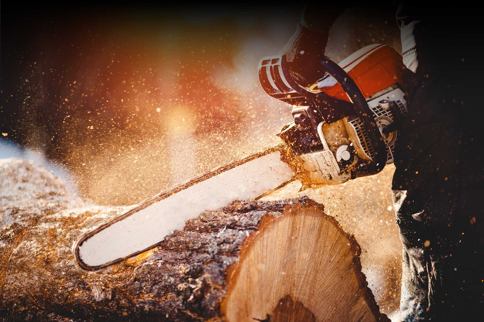 Olivares Tree Consulting