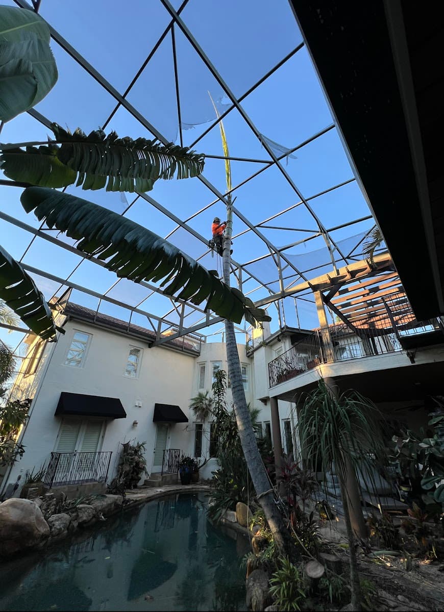 THERE'S A WAY TREE SERVICE LLC