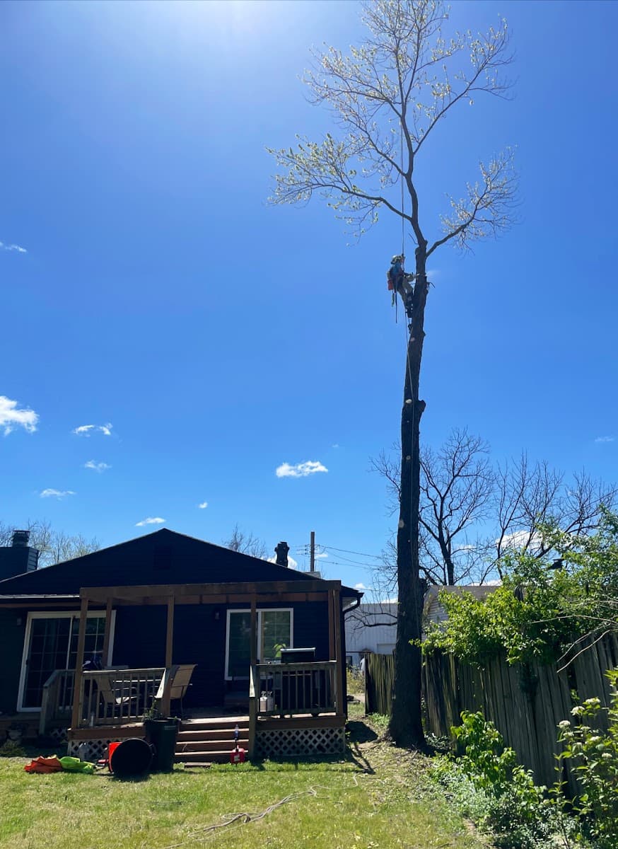 L&R Tree Removal and Landscaping LLC