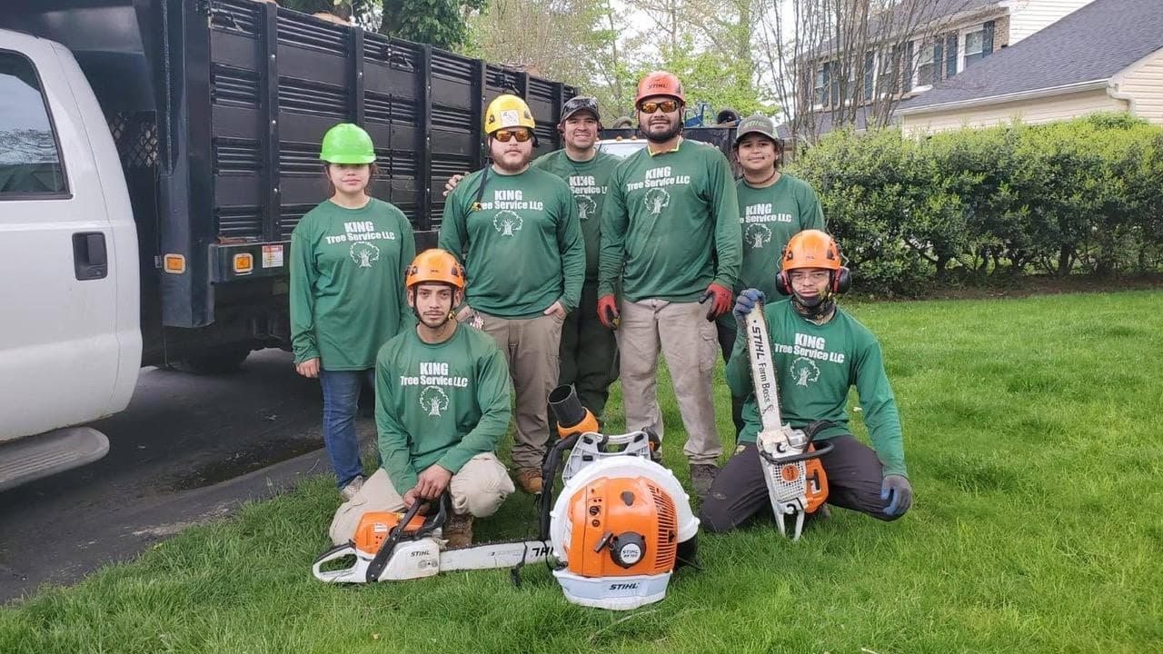 King Tree Services LLC
