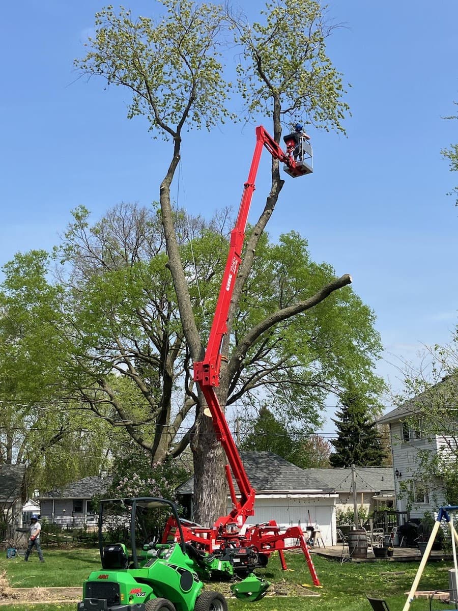 SKV Tree Service LLC