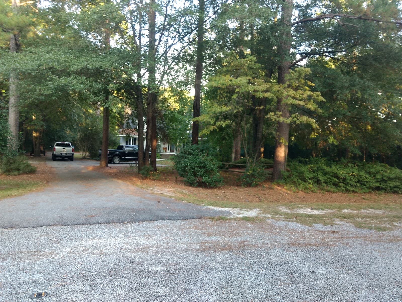 A Notch Above Tree & Lawn Care