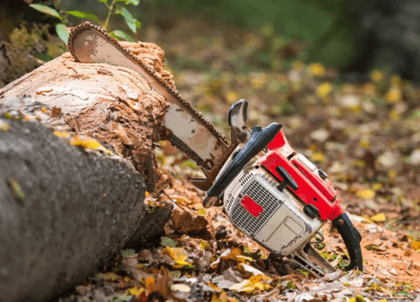 A&M Tree Service LLC