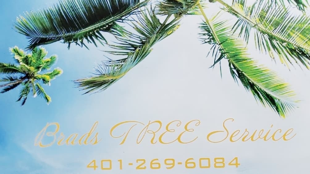 BRADS TREE SERVICE