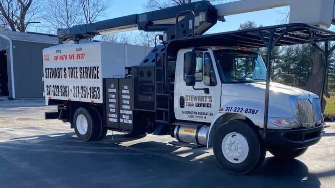 Stewarts Tree Service: Est 1980