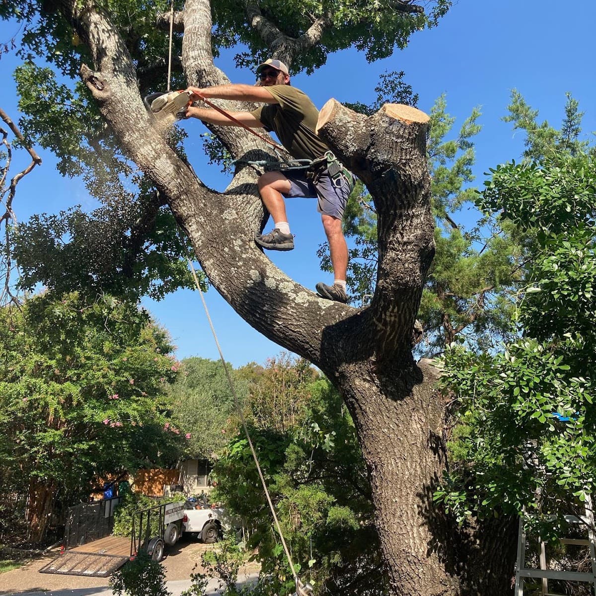 Treescape Solutions, LLC