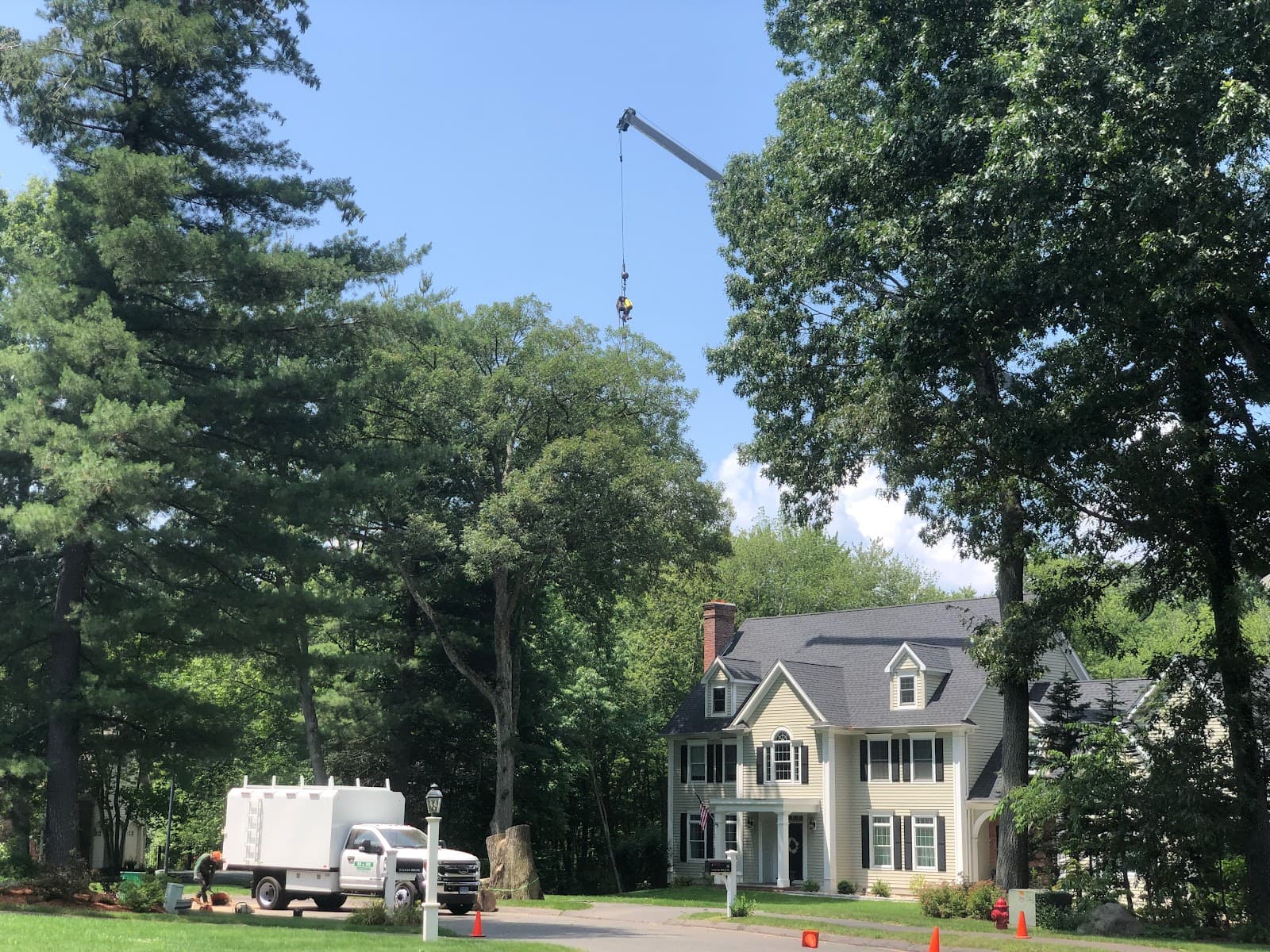 B&M Tree Service, LLC