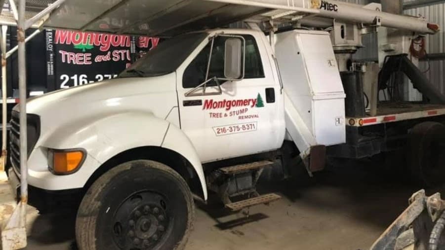 Montgomery Tree & Stump Removal