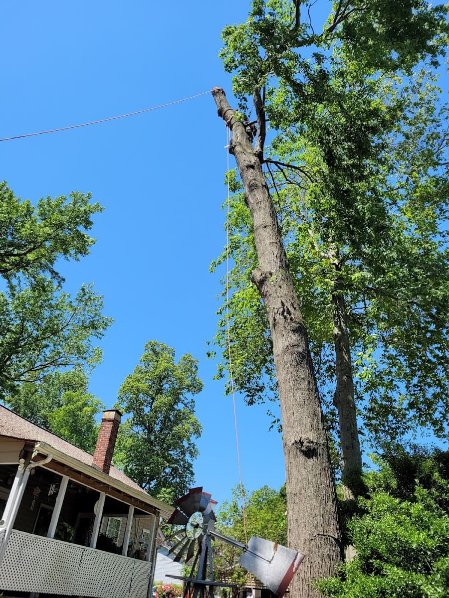 H&S Brothers Tree Service