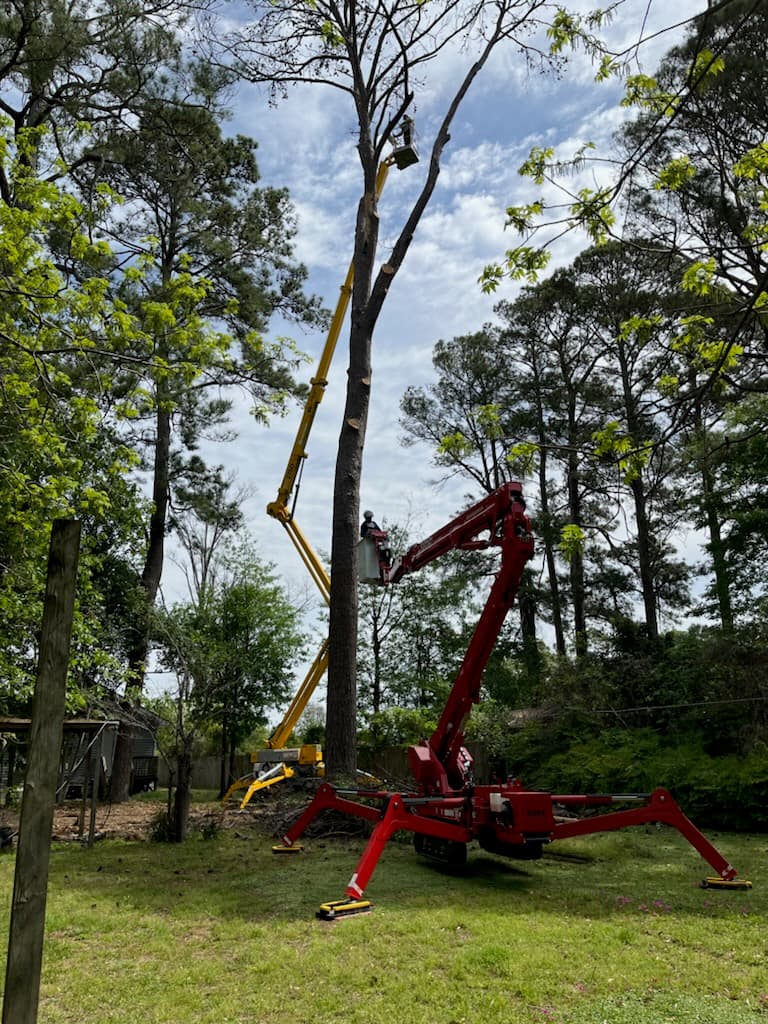 Fuzzell Tree Service