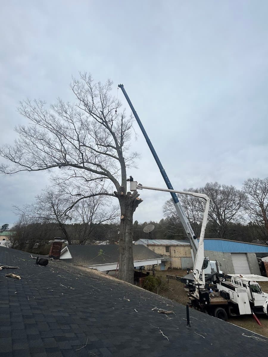 Upstate tree solutions