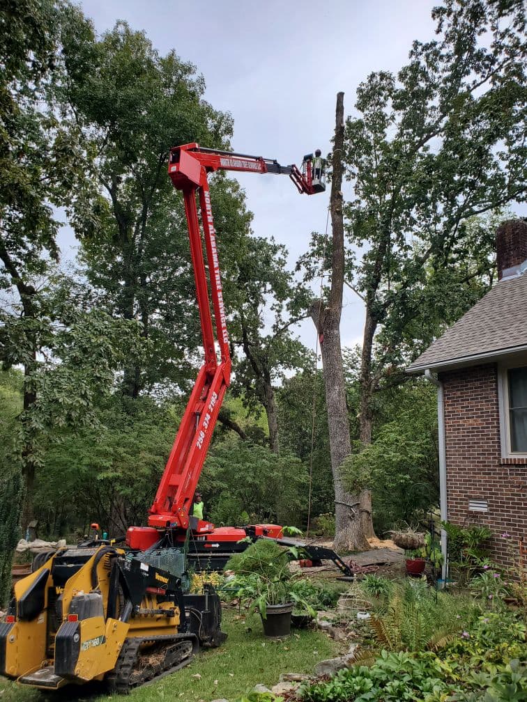 North Alabama Tree Service