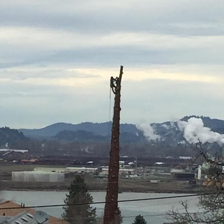 Columbia Tree Professionals LLC