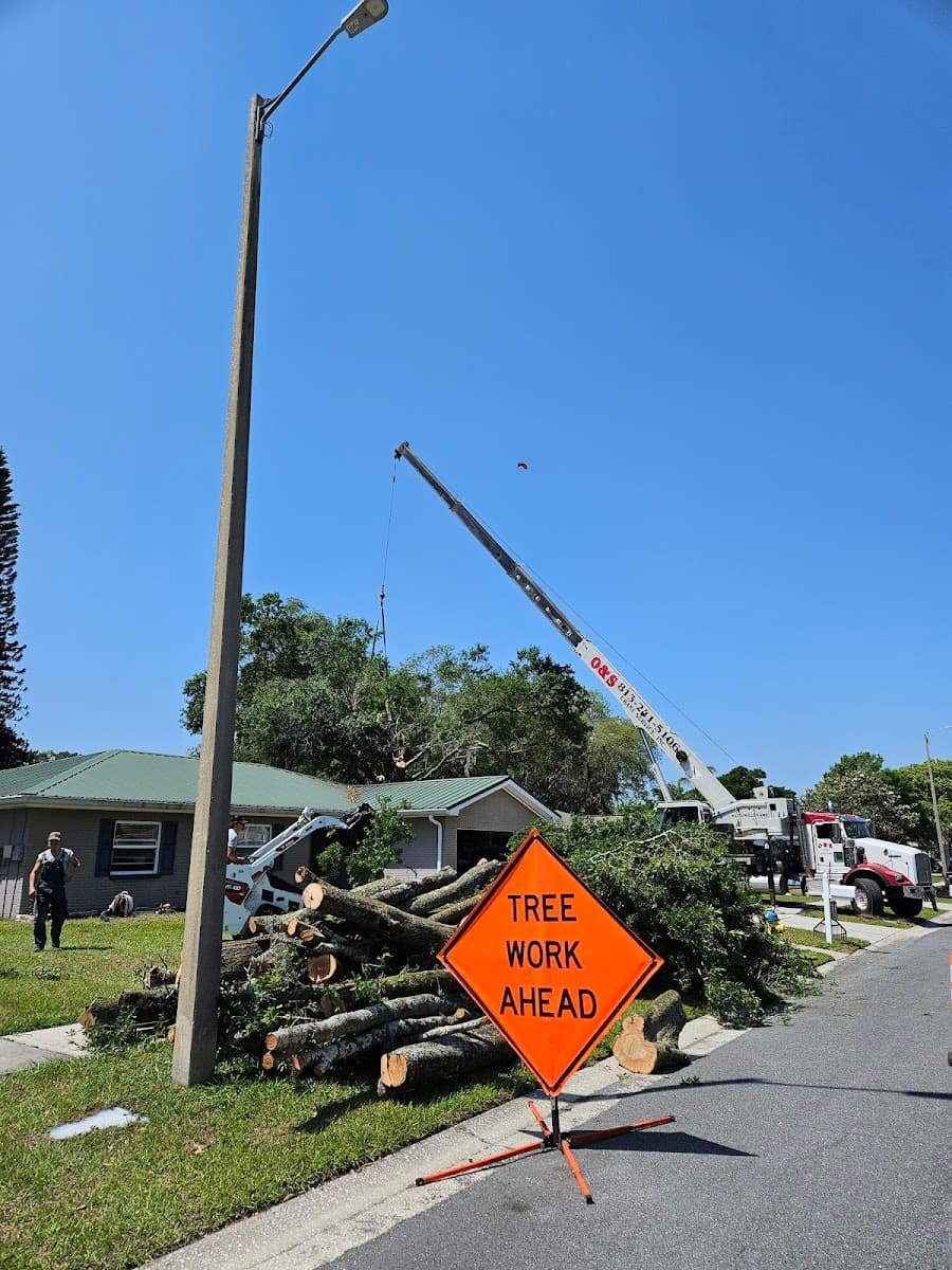 Southern Roots Tree and Landscape