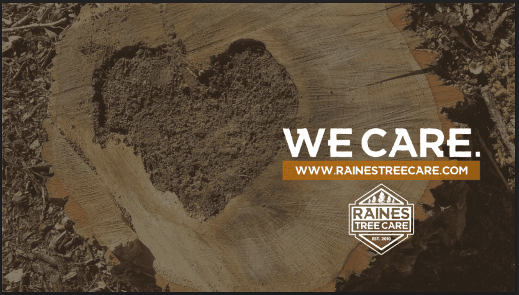 Raines Tree Care